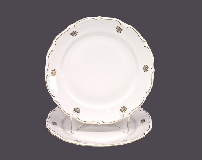 Pair of Walbrzych luncheon or small dinner plates made in Poland. Golden floral bouquet, embossed rim. Flaw (see below).