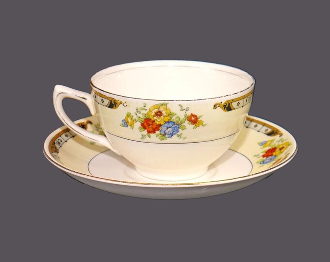 Art-deco era Alfred Meakin Celia cup and saucer set made in England. Flaw (see below). Hard to find.