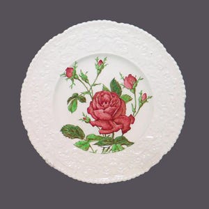 Royal Cauldon Dinner Plate: Hand-Painted Roses, Embossed Verge