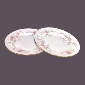 Pair of Paragon Victoriana Rose bone china salad plates made in England.