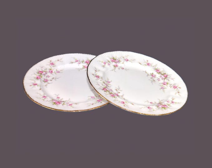 Pair of Paragon Victoriana Rose bone china salad plates made in England.
