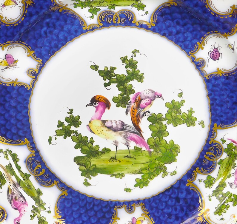 Puede incluir: Un plato de porcelana blanca con un borde azul y dorado. El centro del plato presenta un dise&ntilde;o pintado a mano de dos p&aacute;jaros posados en una rama con hojas verdes. Los p&aacute;jaros son rosas, amarillos y marrones.