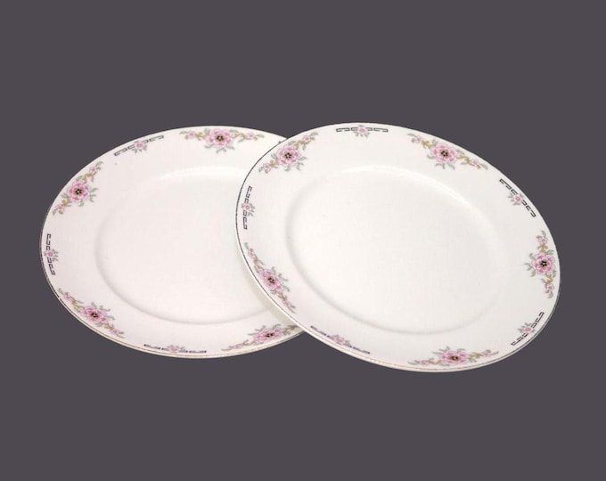 Pair of antique Alfred Meakin Milldale salad plates made in England.