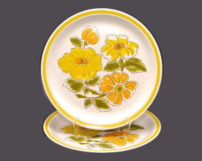 Pair of retro Kasuga Fuji Stone Cynthia 53164 large, stoneware, flower power dinner plates. Vintage stoneware made in Japan.