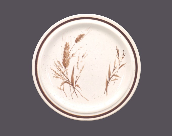 Haniwa Stone Harvest stoneware salad plate made in Japan. Sold individually.