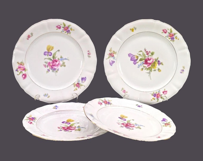 Winterling Schwarzenbach Dinner Plates: Dresden Floral China, Germany US Zone