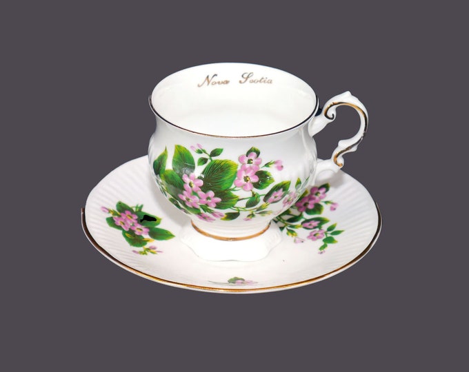 Elizabethan Mayflower cup and saucer set made in England. Canadian Provincial Flowers series. Nova Scotia floral emblem.