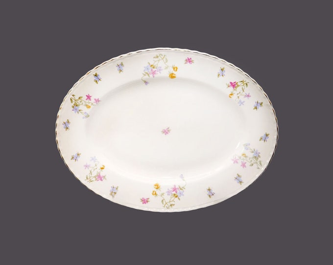 Myott Trouville oval platter made in England.