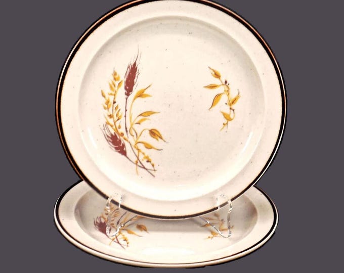 Pair of Anchor Hocking Kansas stoneware salad plates made in Japan.