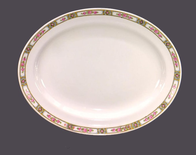 Antique Edwardian Age Alfred Meakin Clifton oval meat or turkey platter made in England.