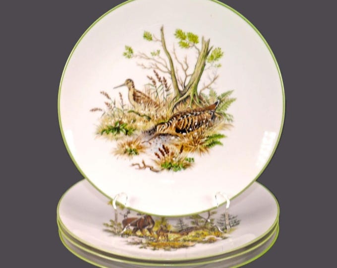 Four Bareuther Waldsassen BTH102 salad plates made in Germany. Birds in natural habitat.