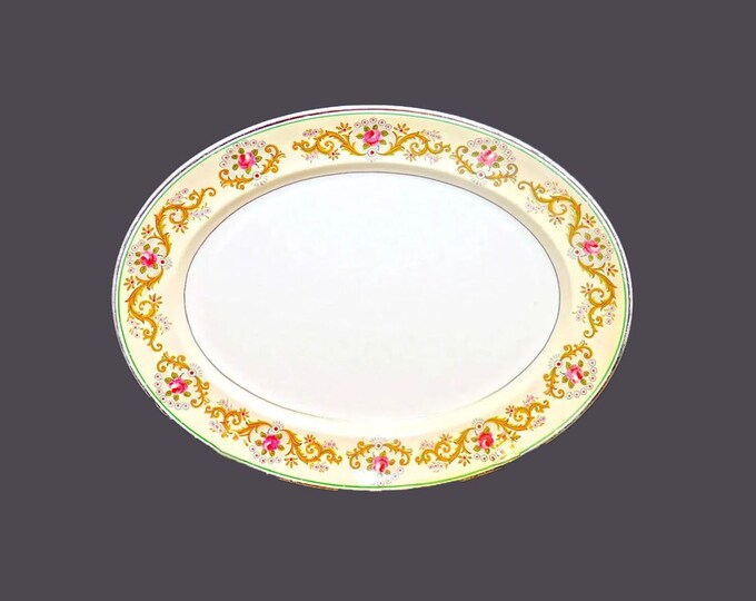 Johnson Brothers JB329 | Twyford oval platter. Pareek ironstone made in England.
