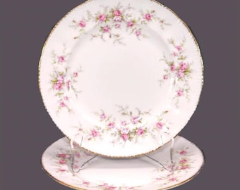 Vintage Paragon Victoriana Rose bone china salad plates made in England. 2 plates.