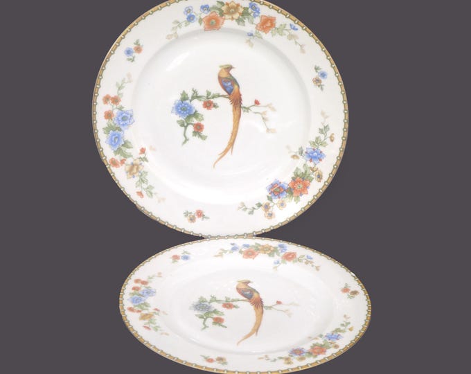 Pair of vintage MZ Altrohlau Golden Pheasant plates. Salad & Luncheon. Bird of Paradise. Flaw.