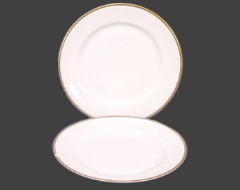 Antique Johnson Brothers JB570 luncheon plates. Pareek ironstone England. 2 plates.