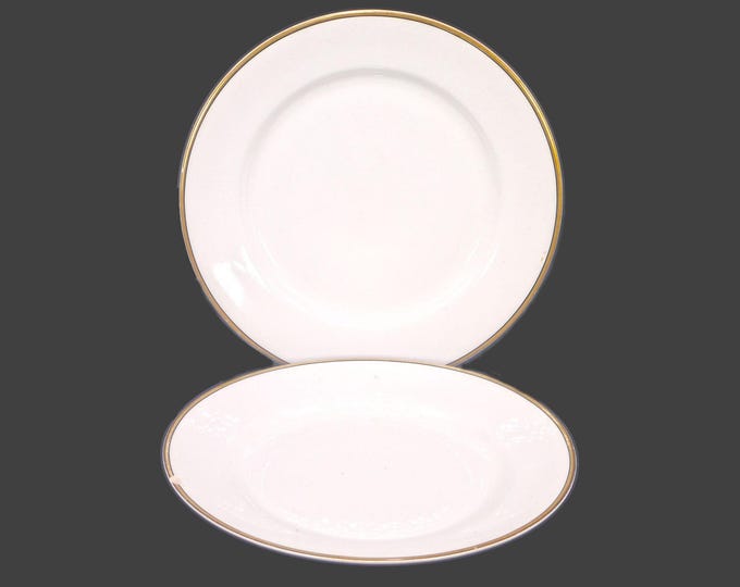 Pair of Johnson Brothers JB570 luncheon plates. Gold with black pen line. Pareek Ironstone made in England. Flaws (see below).