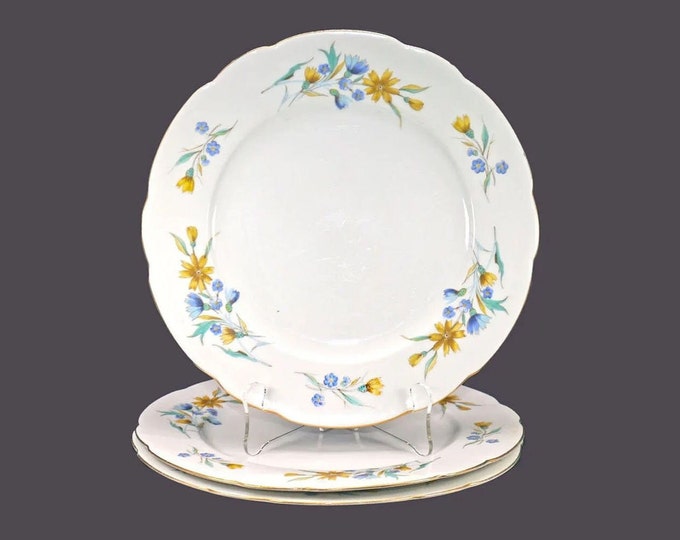 Three Cmielow large dinner plates made in Poland. Blue, yellow dragon flowers. Flaws (see below).