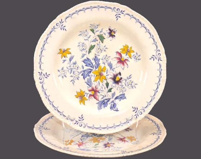 Pair of Ridgway Cornwall numbered luncheon plates made in England. Flaws (see below).