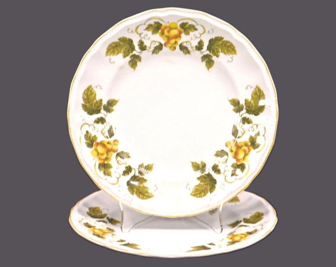 Vintage Kensington Staffords Sussex dinner plates made in England. 2 plates. Flaws