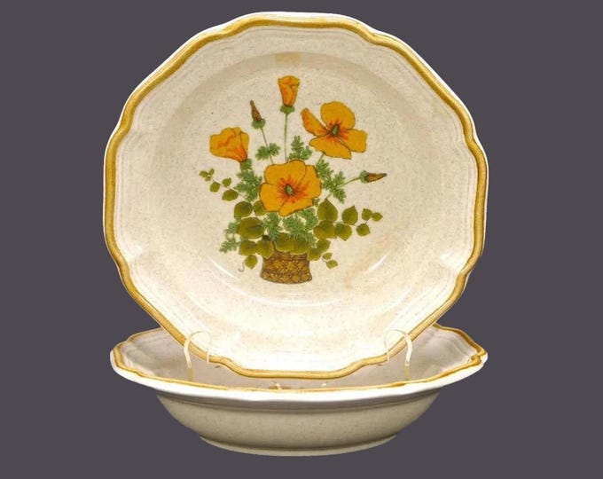 Pair of Mikasa Petunias EC401 rimmed stoneware soup bowls. Garden Club stoneware made in Japan.