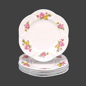 Vintage Shelley Begonia bone china dinner plates. Dainty shape: England. 6 plates.