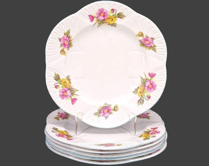 Six Shelley Begonia bone china dinner plates in the dainty shape made in England.