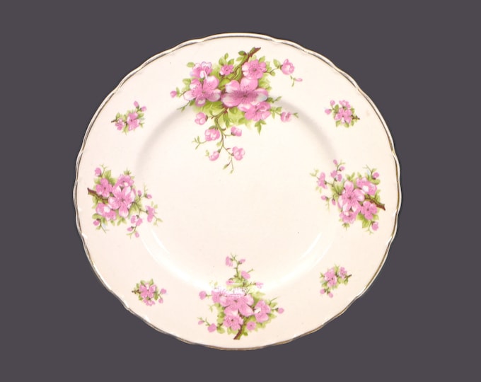 Arthur Wilkinson WIL42 | Royal Staffordshire 355 luncheon plate. Pink apple blossoms. Made in England. Sold individually.