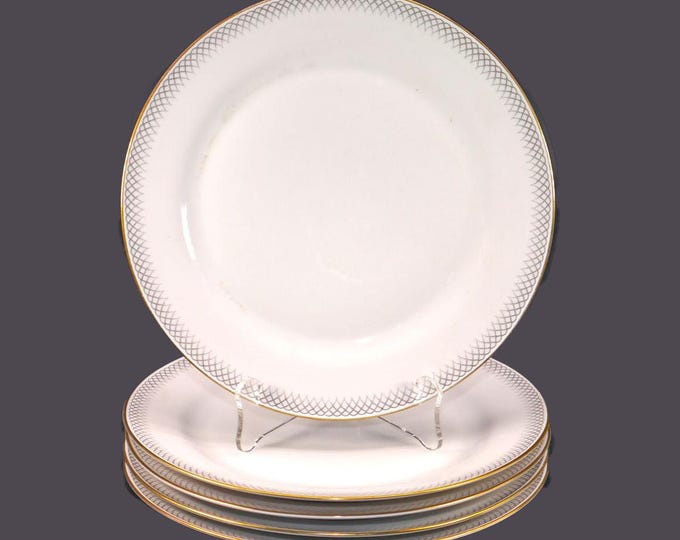 Five Tirschenreuth Sea-Side 2904 | 2987 salad plates made in Germany.