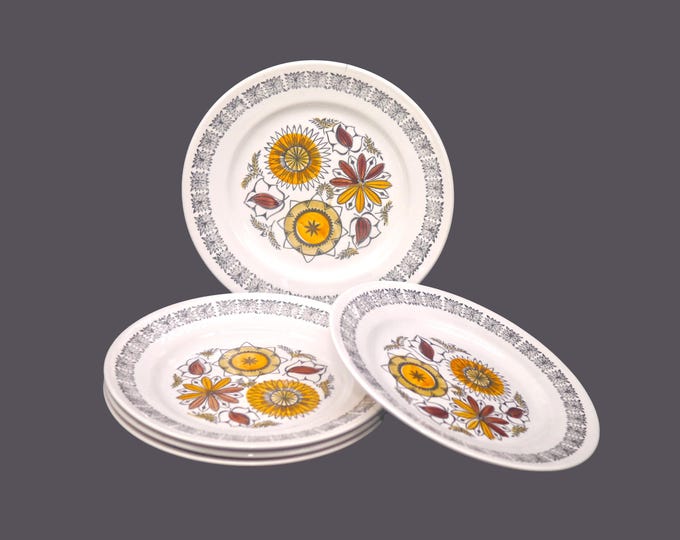 Five Broadhurst Calypso bread plates. Retro tableware designed by Kathie Winkle made in England.