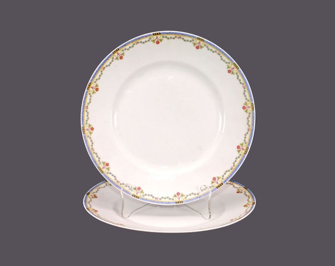 Pair of antique art-nouveau period Bernardaud Limoges BER45 dinner plates made in France.