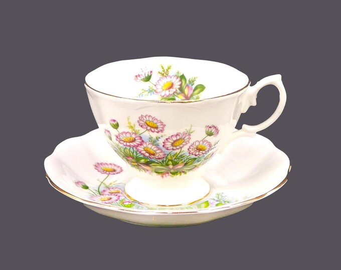 Royal Albert Dawn Sunnyside series bone china tea set made in England.