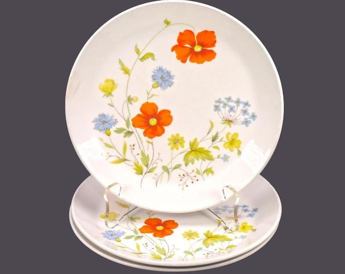 Three Johnson Brothers Summertime bread plates. Retro flower-power tableware made in England. Flaws (see below).