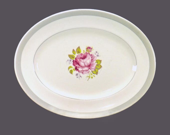 Myott Admiration oval platter made in England.
