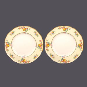 Pair of Crown Ducal 1504 | 732597 dinner plates made in England. Yellow rims, mustard trim. Hard to find. Flaws (see below).