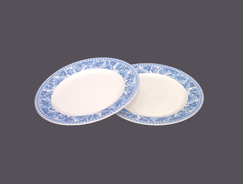 American Atelier Dinner Plates - Thumbnail 5