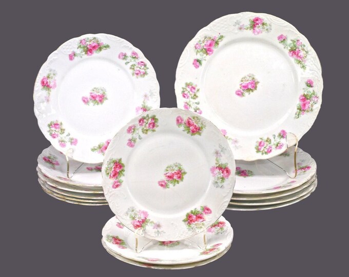 Fourteen Carlsbad China plates. Dinner, salad, bread. Pink roses, daisies made in Czechoslovakia. Similar to Carlsbad 1244.