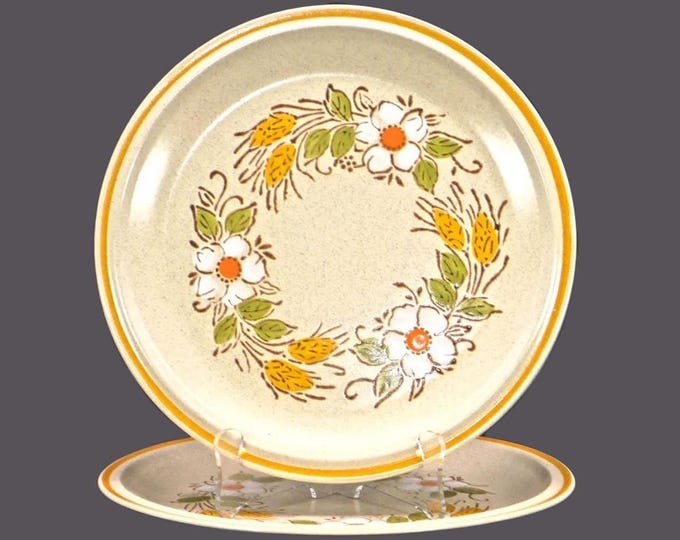Pair of Hearthside Garden Festival Prairie Flowers large stoneware dinner plates made in Japan.