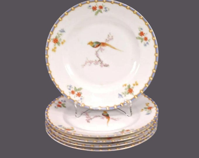 Antique MZ Austria Victoria Bread Plates: Bird of Paradise, Set of 5
