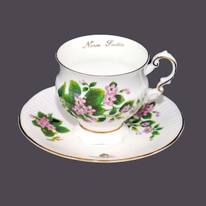Vintage Elizabethan Mayflower Tasse und Untertasse: Nova Scotia Blumenemblem