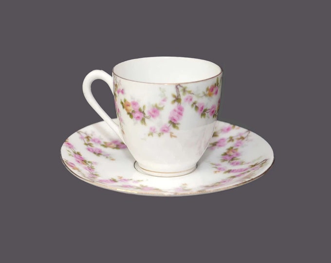 Antique art-nouveau period Georg Schmider Zell hand-painted Bridal Rose demitasse set | espresso set made in Germany.