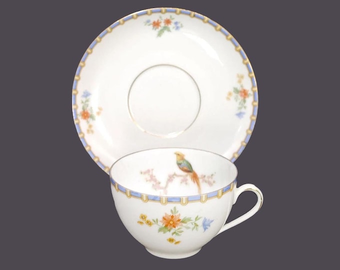 Antique Altrohlau | MZ Austria | Zdekauer Victoria cup and saucer set. Bird of Paradise made in Czechoslovakia.