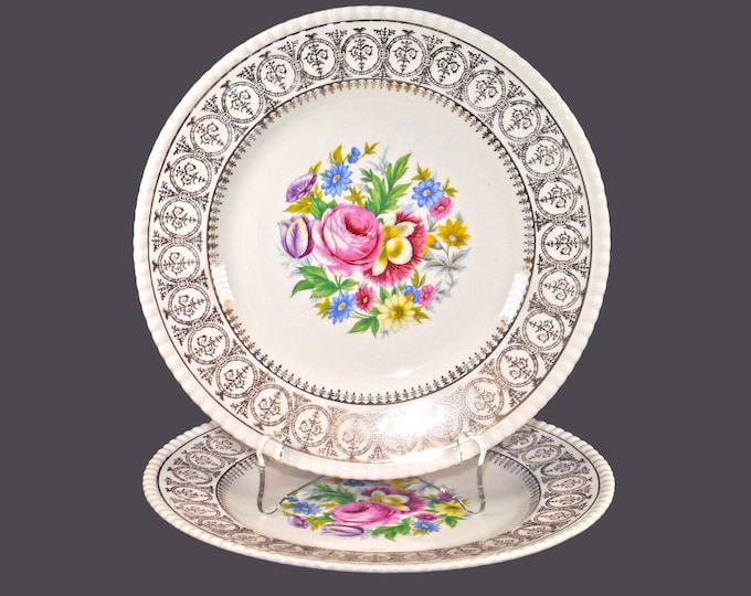 Pair of Fondeville Athlone salad plates. Ambassador Ware ironstone made in England. Flaw (see below)