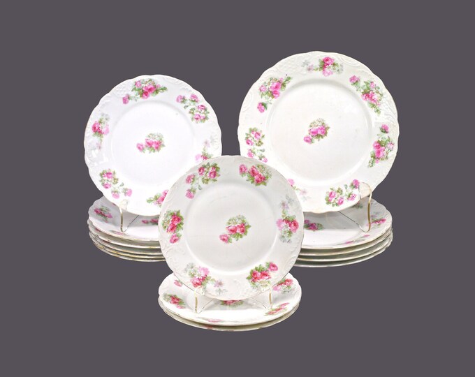 Fourteen Carlsbad China plates. Dinner, salad, bread. Pink roses, daisies made in Czechoslovakia. Similar to Carlsbad 1244.