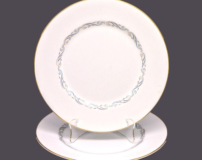 Pair of Myott Twilight dinner plates. China-Lyke ironstone made in England.