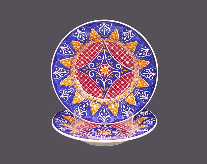 Pair of Pier 1 Vizcaya rimmed soup bowls made in Italy.