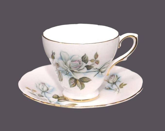 Delphine bone china cup and saucer set made in England. Blue roses.