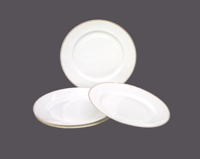 Four antique MZ Austria | Altrohlau A-1936 salad plates. Flaws (see below).