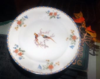 European Czechoslovakia Mz Altrohlau Scalloped Pheasant Bird Dessert Plate Set