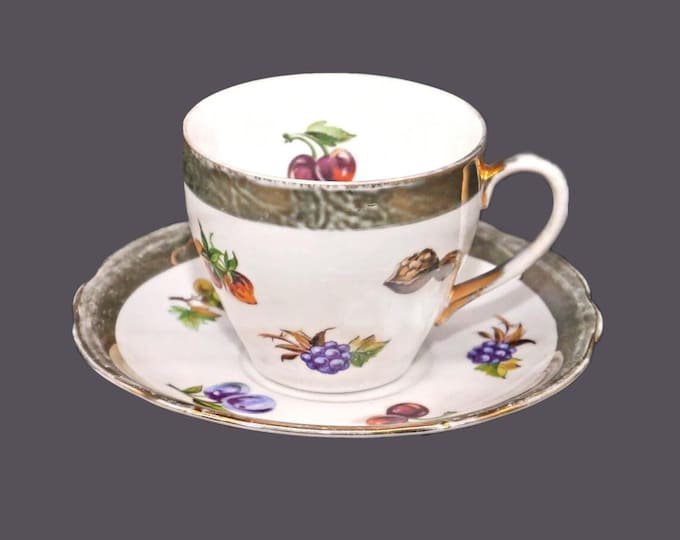 Epiag | Springer EPI164 hand-painted cup and saucer set made in Czechoslovakia.