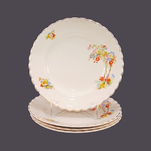 Four antique Edwardian Age J&G Meakin MEK188 dinner plates made in England.